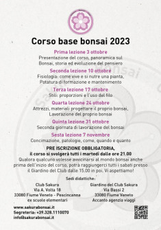 corso-base-bonsai-autunno-2023