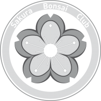 Sakura Bonsai Logo Grigio