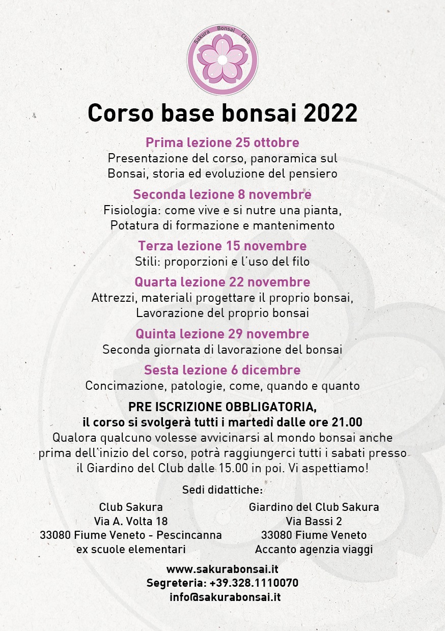 Corso base Bonsai 2022
