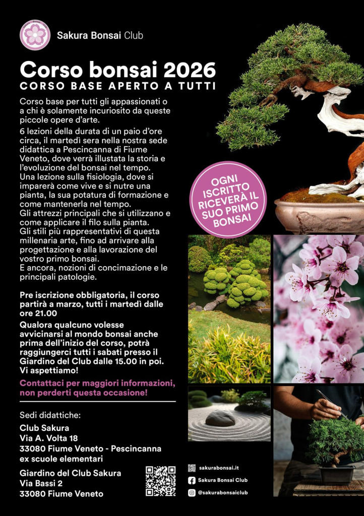 Corso Bonsai 2026